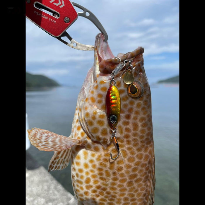 Daiwa Blade Jig Teardrop Spin 7G Blue Pink Zebra by Daiwa-Kiichin - The #1 Place for Japanese Goods in Your Hand!