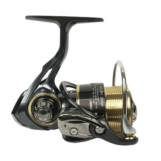 Daiwa 17 Theory 2506H Spinning Reel 2017 Model - Premium Fishing Gear-Kiichin - The #1 Place for Japanese Goods in Your Hand!