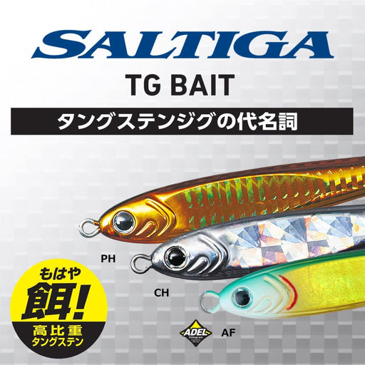 Daiwa Tungsten Jig Saltiga Tg Bait 100G F Real Gg Maiwa-Kiichin - The #1 Place for Japanese Goods in Your Hand!