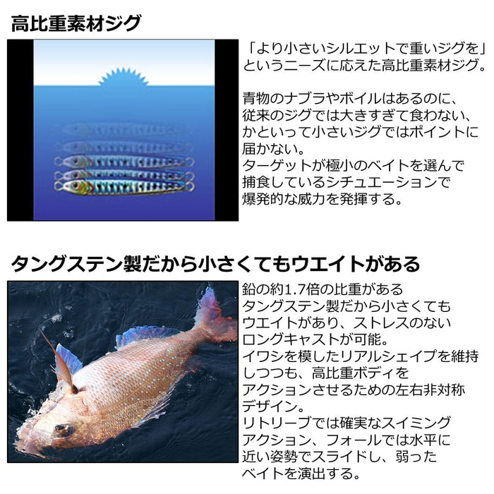 Daiwa Tungsten Jig Tg Bait 100g Natural Mirror Finish-Kiichin - The #1 Place for Japanese Goods in Your Hand!