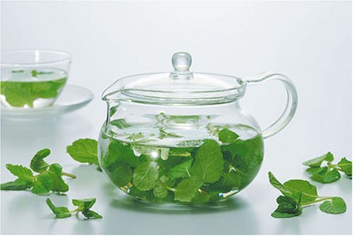 Hario Chacha Kyusu Maru Tea Pot Japan 450Ml - Authentic Import-Kiichin - The #1 Place for Japanese Goods in Your Hand!