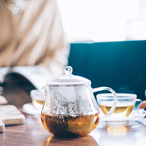 Hario CHC-45T Tea Pot 450ml Heat Resistant Glass-Kiichin - The #1 Place for Japanese Goods in Your Hand!