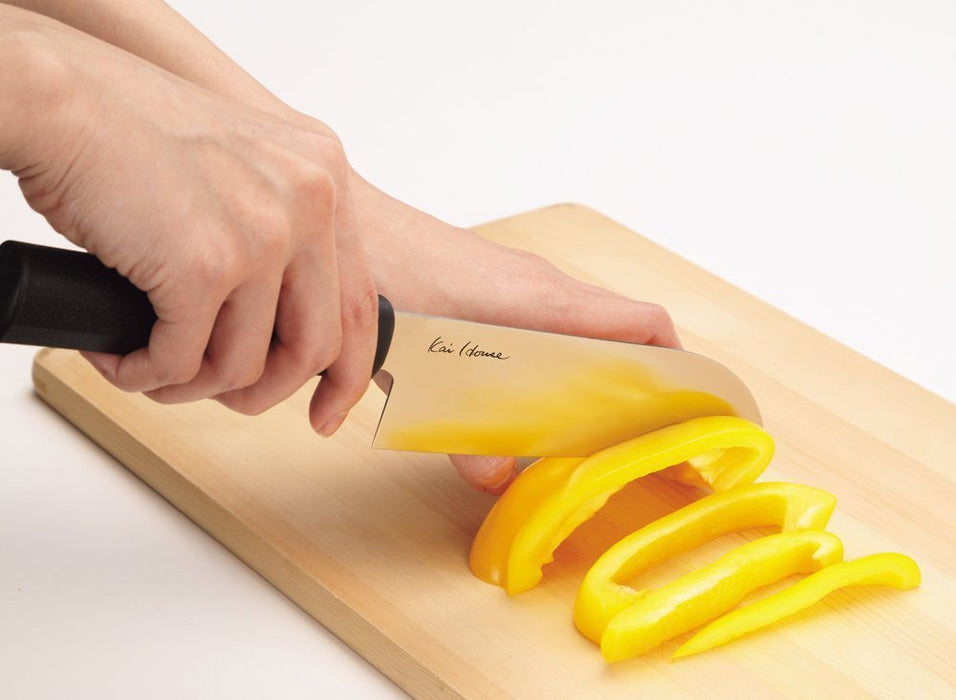 Kai Stainless Steel Knife AB5800 - Light & Easy - Kai House Select - Japan-Kiichin - The #1 Place for Japanese Goods in Your Hand!