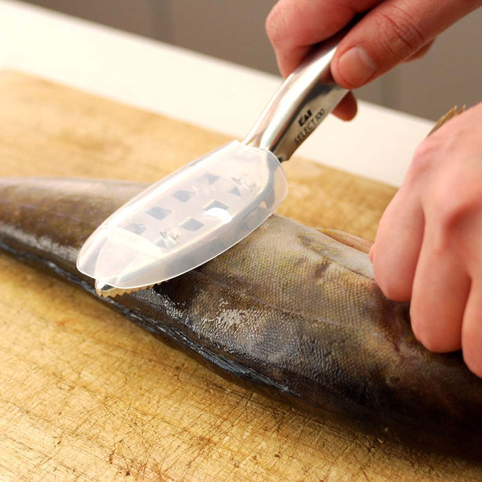 Stainless Steel Fish Scaler by Kai Efficient and Durable Tool for Scaling Fish-Kiichin - The #1 Place for Japanese Goods in Your Hand!