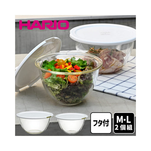 Set of 2 Hario Heat-Resistant Glass Bowls w/ Lid-Kiichin - The #1 Place for Japanese Goods in Your Hand!
