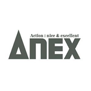 Anex AP-14M Tool Double-Headed Anex Bits +2 X 200 Shot Finish 10-Pack-Kiichin - The #1 Place for Japanese Goods in Your Hand!