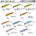 Daiwa Reel Case Kouga Bay Metal Madai 40G Green Gold-Kiichin - The #1 Place for Japanese Goods in Your Hand!