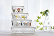 https://cdn.shopify.com/s/files/1/0564/5166/1891/files/Iwaki-HeatResistant-Glass-Airtight-Container-Shinji-Kato-Nordic-Garden-Design-Square-200Ml-B3200Snf-4905284165932-3.jpg?v=1755763425