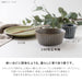 Minoru Pottery Mino Ware Tetote 140 Medium Walnut Bowl-Kiichin - The #1 Place for Japanese Goods in Your Hand!
