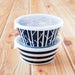 Minoru Pottery Small Bowl Plantery Berry M - Perfect Desk or Shelf Decor-Kiichin - The #1 Place for Japanese Goods in Your Hand!