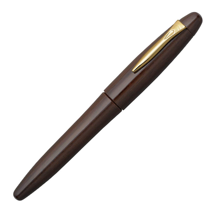 Platinum Fountain Pen Izumo Tetsutoki M Medium Point Gloss Finish Dual-Use Imported-Kiichin - The #1 Place for Japanese Goods in Your Hand!