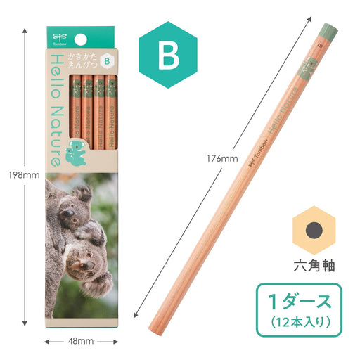 Tombow B Hello Nature Koala Drawing Pencil KB-KHNKA2-B-Kiichin - The #1 Place for Japanese Goods in Your Hand!