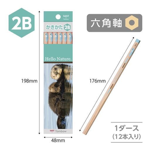 Tombow Hello Nature 2B Drawing Pencils Sea Otter Design Pack of 12-Kiichin - The #1 Place for Japanese Goods in Your Hand!