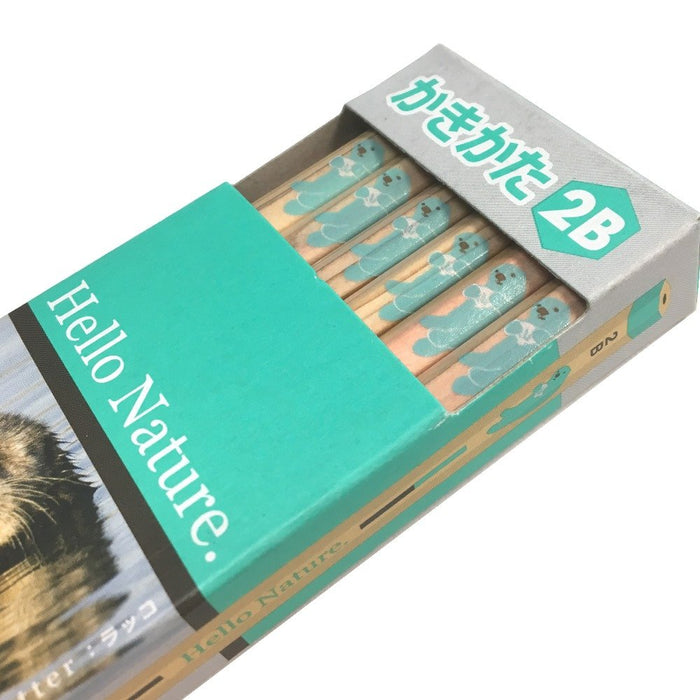 Tombow Hello Nature 2B Drawing Pencils Sea Otter Design Pack of 12-Kiichin - The #1 Place for Japanese Goods in Your Hand!