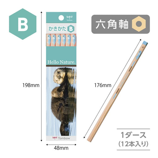 Tombow Hello Nature B Drawing Pencil - Sea Otter Design Pack of 12-Kiichin - The #1 Place for Japanese Goods in Your Hand!