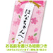 Tombow Ippo Celebration B Plain Pink Pencil - MP-KW02-B Edition-Kiichin - The #1 Place for Japanese Goods in Your Hand!