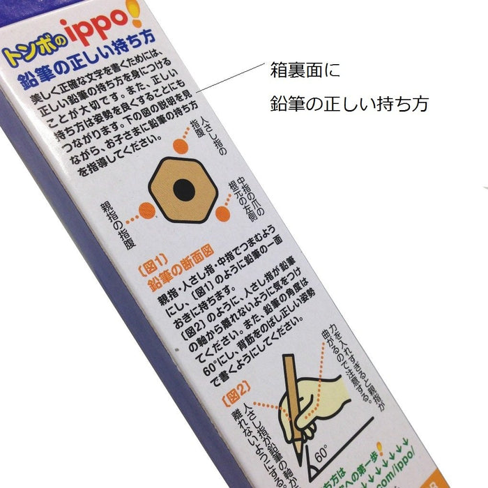 Tombow Ippo 2B Plain M Pencils Easy Draw Pack of 12-Kiichin - The #1 Place for Japanese Goods in Your Hand!