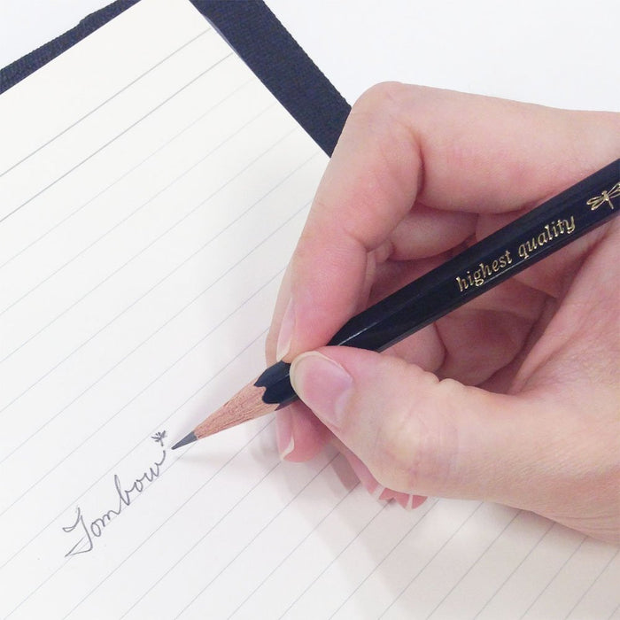 Tombow Mono R 3B Pencils Pack of 12 in Durable Case-Kiichin - The #1 Place for Japanese Goods in Your Hand!
