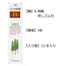 Tombow Wood Story HB Pencil with Rubber Pack of 12-Kiichin - The #1 Place for Japanese Goods in Your Hand!