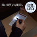 Zebra Oil-Based Ballpoint Pen Light Α 0.7mm Black - Model P-BA96-BK-Kiichin - The #1 Place for Japanese Goods in Your Hand!