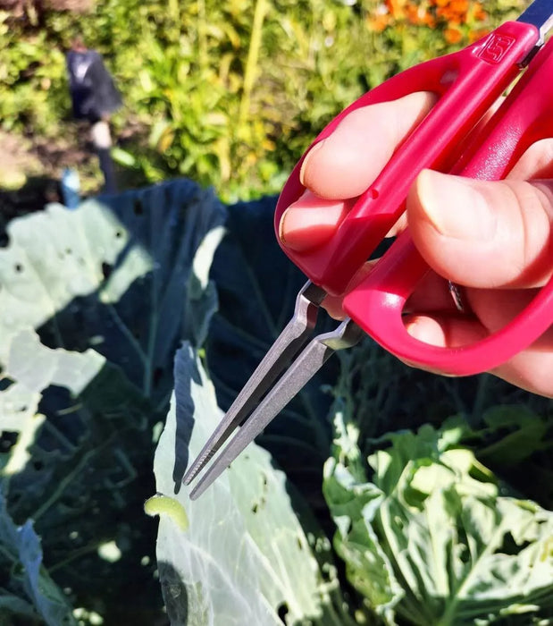 Chikamasa Insect Trap with Tweezers and Gardening Scissors GB-300SP by Chikamasa