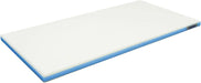 Hasegawa Polyethylene Lightweight Storage Bag - Blue 41x23cm - 4994808020048