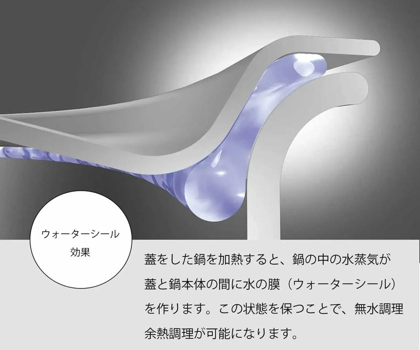 Miyazaki Seisakusho Japanese Saucepan IH Compatible All Heat Source