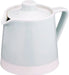 Nishi Kaichi Ceramics Hasami Ware Teapot Tea Strainer Set