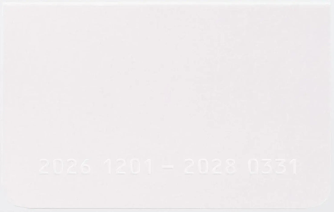Raymay Fujii Monthly Block Planner Diary - Pearl - 4902562522890