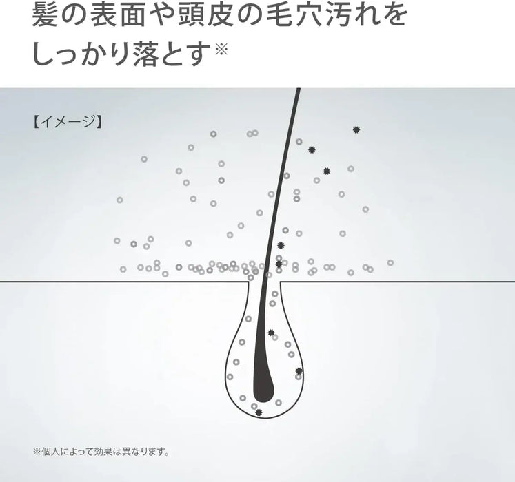 Takagi Ultra Fine Bubble Water Purification Shower Head Chlorine Removal