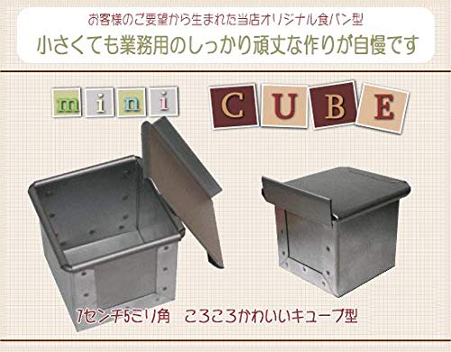 Asai Store Japan Altite Bread Mold Mini Cube with Silver Lid-Kiichin - The #1 Place for Japanese Goods in Your Hand!