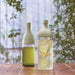 Premium Green Hario Filter-In Ka-Ku Bottle - Enhance Your Filtering Experience-Kiichin - The #1 Place for Japanese Goods in Your Hand!