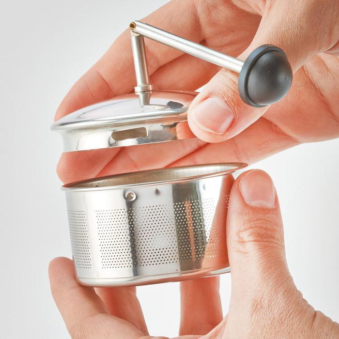 Hario Tea King Silver Chan-2Sv Japan Set - Ideal for 2 People-Kiichin - The #1 Place for Japanese Goods in Your Hand!