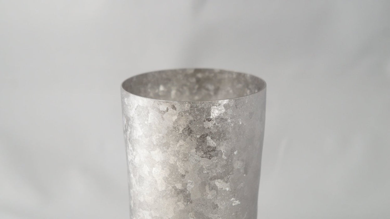 Horie Japan Niigata Tsubame Titanium Double Tumbler Kiln Creation Light 270Cc Silver - Premium Drinkware-Kiichin - The #1 Place for Japanese Goods in Your Hand!