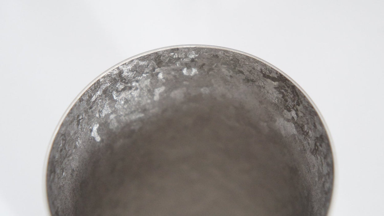 Horie Japan Niigata Tsubame Titanium Double Tumbler Kiln Creation Light 270Cc Silver - Premium Drinkware-Kiichin - The #1 Place for Japanese Goods in Your Hand!