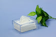 Japanese Butterfly Plastic Pocket Tissue Case 690977 - User-Friendly Solution-Kiichin - The #1 Place for Japanese Goods in Your Hand!