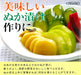 Skater Japan Nukazuke Container - Water Drainer Mth1-Kiichin - The #1 Place for Japanese Goods in Your Hand!
