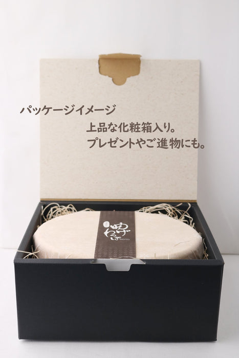 Ruozhao Japan Magewappa Oval Lunch Box with Beveled Finish - Convenient One-Step Solution-Kiichin - The #1 Place for Japanese Goods in Your Hand!